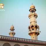 download qtv wallpaper