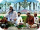 Owais Raza Qadri (335)