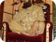 Owais Raza Qadri (43)