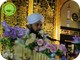Owais Raza Qadri (596)