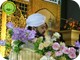 Owais Raza Qadri (599)