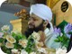 Owais Raza Qadri (606)