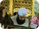 Owais Raza Qadri (614)