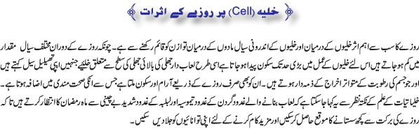 Roza Aur Jadeed Science-e-Tahkikat